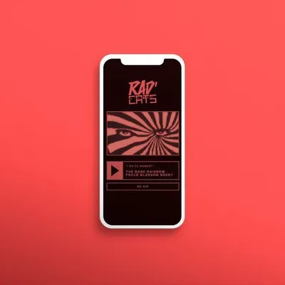 Capture du projet Créer une webradio en 24h, du cadrage produit au développement